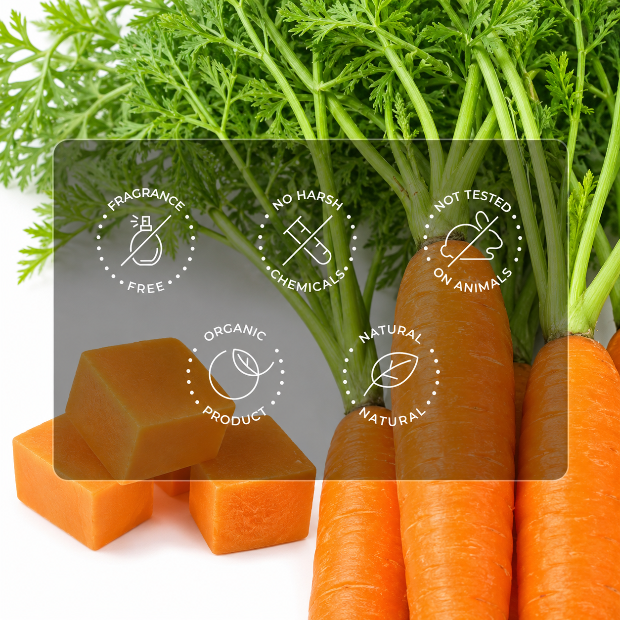 Carrot Revitalizing Bar